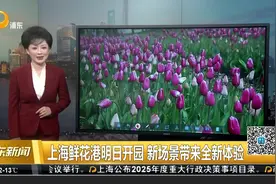 上海鲜花港明日开园 新场景带来全新体验视频封面