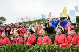 杭州西湖翁家山“喊山祈福” 吸引国际友人体验茶文化图片