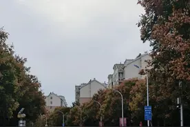 寻找山东最美大学|齐鲁工业大学李思雨：《秋日烂漫》图片