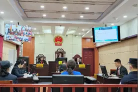 殴打拖拽、暴力喂饭、关黑屋，住家保姆虐待2岁幼童出庭受审图片