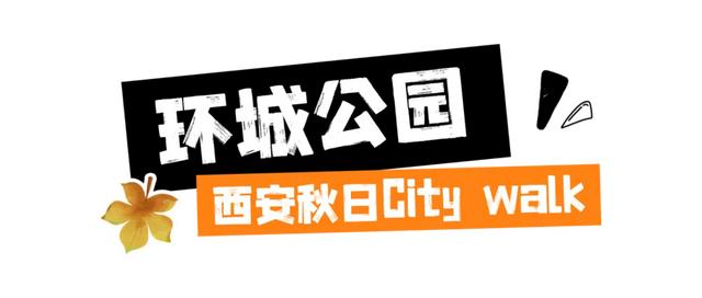 漫步碑林|西安秋天的第一次CityWalk，就来碑林~