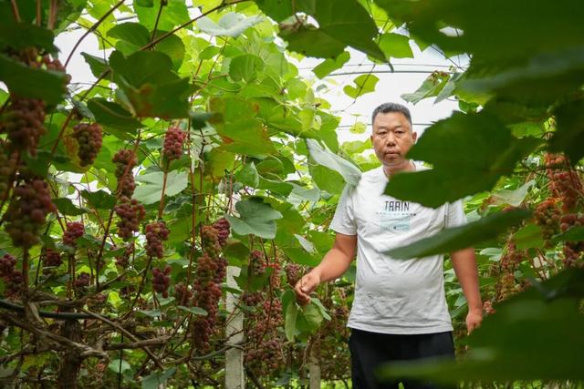 林口：水润民生兴百业