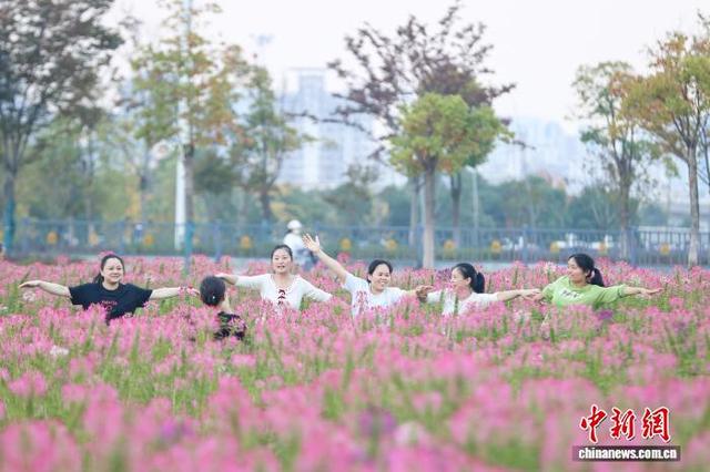 江西南昌：城市花海正盛放 绚丽多姿引客来