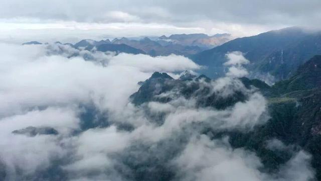 和顶流博主做旅行“搭子”，是种什么体验？