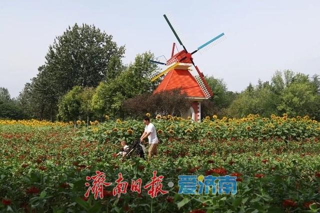 济南植物园初秋花浪正当时
