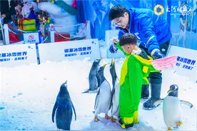 融合“文旅+”，银基文旅将打造新文娱标杆图片