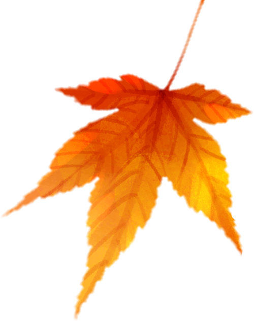 黄河一号旅游公路：千里风景廊道解锁文旅新体验