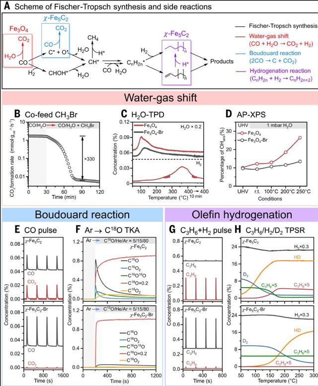 科技创新年 | 1/1000000的不同，北大教授再发Science！