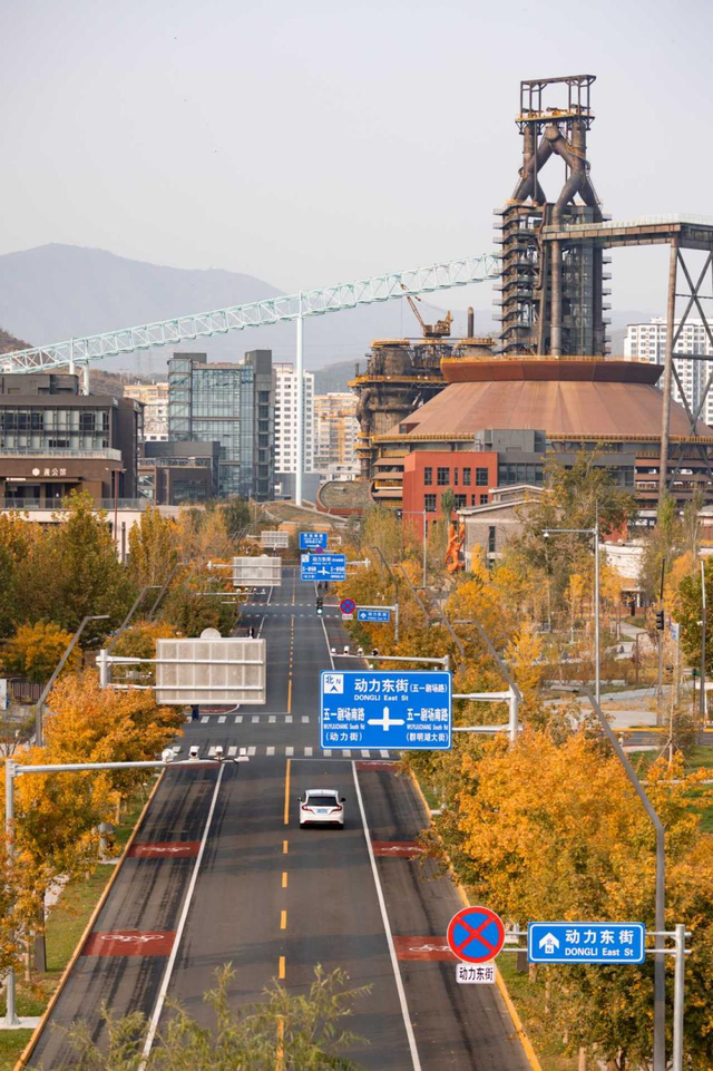 多彩京秋丨全市彩叶树变色率播报（2025.11.13）