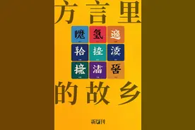全网爆火，云贵广方言为何如此擅长搞抽象？图片