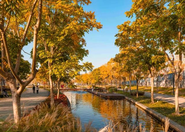 秋冬限定的普陀，美到让人流连忘返，你还不来打卡吗？