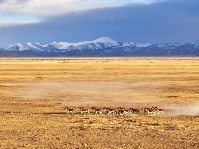 心动吗？这些冬日美景错过了就要再等一年！