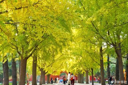 收藏！秋天是写在古都的诗篇