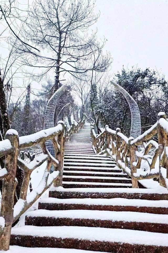 冬至丨解锁桂林的多彩冬天！