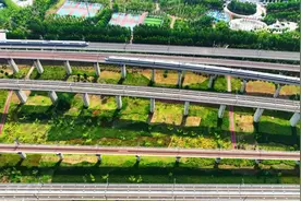 4条调价高铁线路车票今日开售，河南涨了多少？记者对比发现……图片
