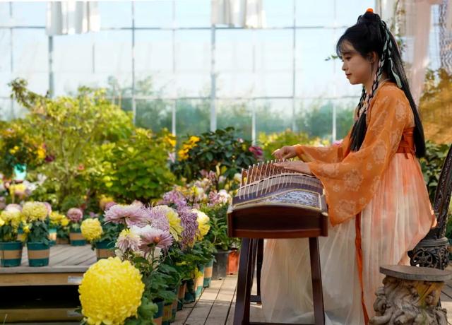 图说定西 | 深秋和菊花的浪漫邂逅