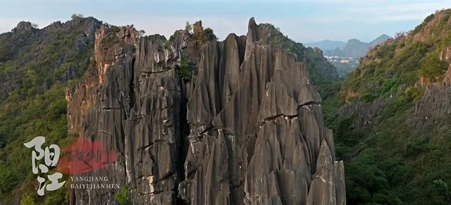 多位外籍网红博主“打卡”阳江
