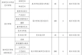 2025艺考招生| 中央美术学院艺术校考将在11日举行图片