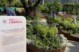 上海国际花展周五开幕，首次取消主题花，用“百花齐放”代替“一枝独秀”图片
