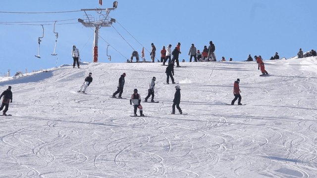 Yeah！生活｜你的电脑桌面，变色了？！