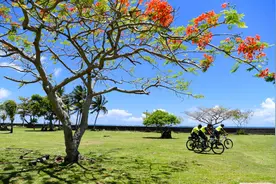 非洲和加勒比国家敦促英国为殖民时期贩卖奴隶作出赔偿图片