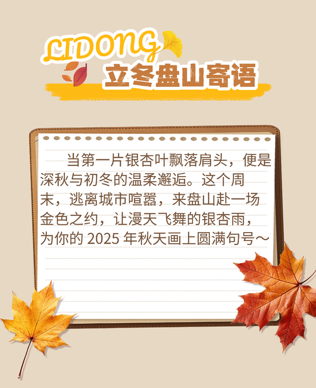 立冬雨歇，银杏正当时！