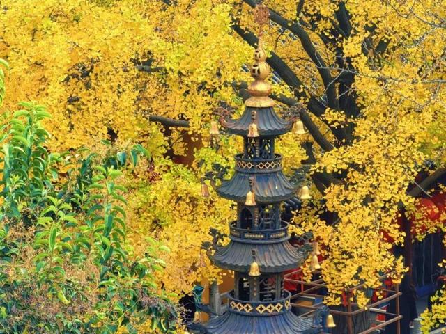 当代人需要的情绪价值，镇江给你！