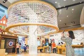 四季繁花三角梅（一朵花读懂一座城）图片