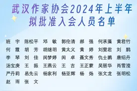 青年作家班宇入选武汉市作家协会图片