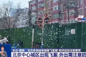 北方多地进入杨柳飞絮期，“过敏星人”请收好这份注意事项图片