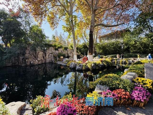 一年四季 泉在济南丨泉映蓝天柳拂岸 初冬趵突泉藏清趣