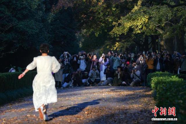 民众走进南京明孝陵石象路 感受“光影中的诗意清晨”