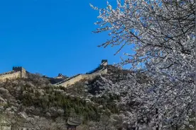 “五一”小长假去哪玩？延庆推出超级草莓音乐节等一大波文旅活动图片