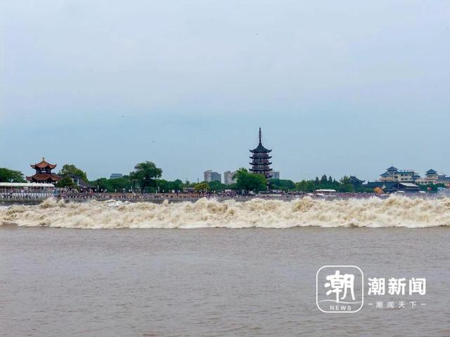 多图来袭，潮高一米多！万名游客共睹“鬼王潮”