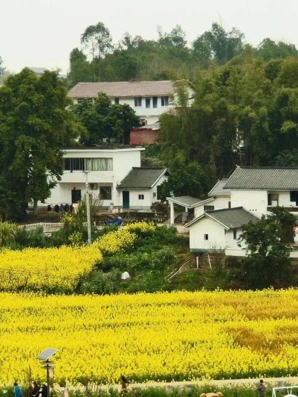 大理+滇西5县深度游！10条主题线覆盖非遗、古镇、美食、康养，这篇攻略直接抄作业