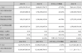 汤臣倍健2024年净利润下跌6成，董事长称今年要转守为攻图片