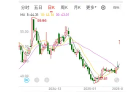 发布首个“DeepSeek版”安全智能体，杭州这家公司股价20%涨停图片