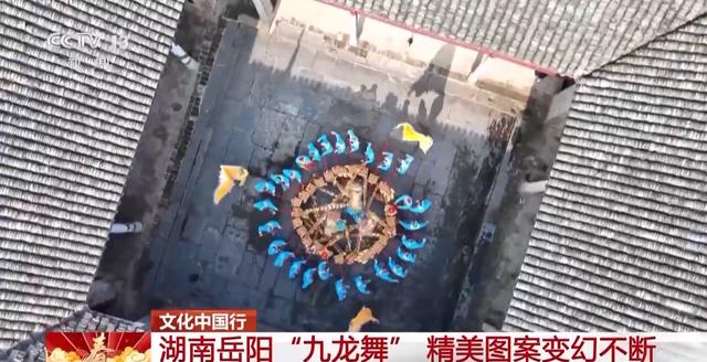 文化中国行丨火龙、板凳龙、百叶龙……来看不拘一格的龙舞之美