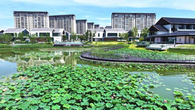 来宿城，打卡我“荷”你的浪漫