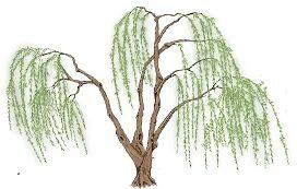 您的“大家谈”来稿见报啦！