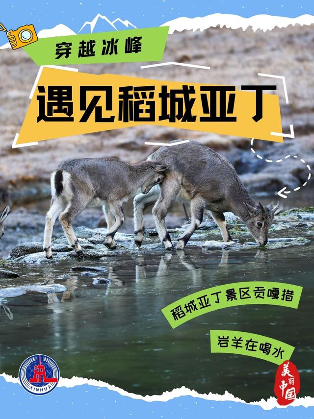 海报丨穿越冰峰 遇见稻城亚丁