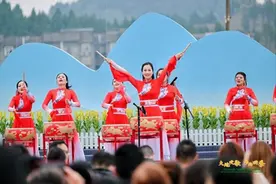 2025年全国“四季村晚”春季示范展示潼南区“村”晚举行图片