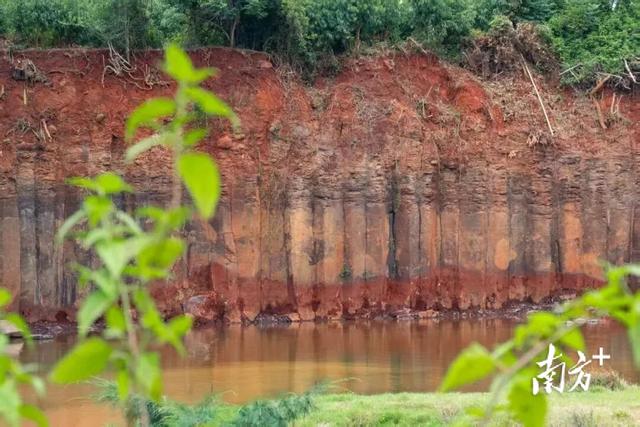 不光是盛典！12月20日，徐闻给你一个必来的理由