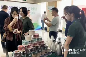 闽宁“两片叶子”书写新时代山海情图片