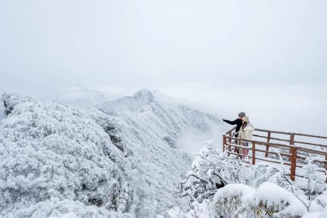 第十一届四川光雾山国际冰雪节即将启幕，冬日出游攻略请查收！