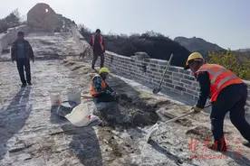 八达岭西段未开放长城修缮：保留“野味”，推动贯通图片