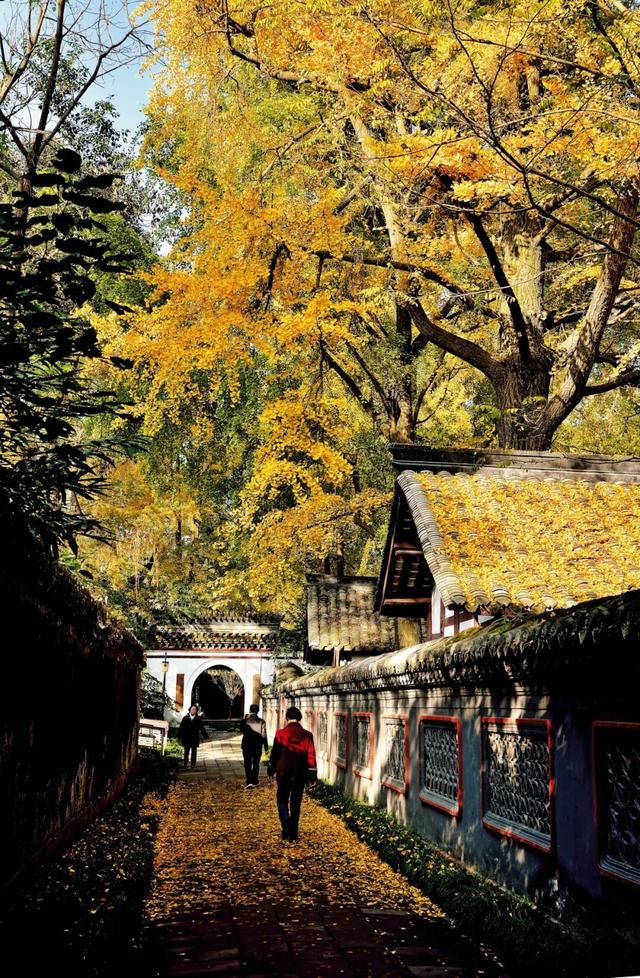 穿越1600年，天府密码在此激活