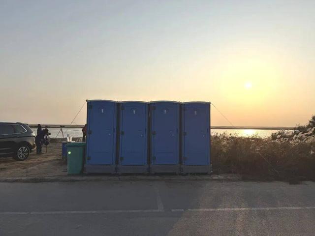 东营观鸟季开启！停车、厕所、休息站……便民服务已就位