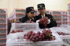 【甘快看】今年前2个月甘肃敦煌市外贸进出口同比增长69.8%图片
