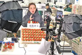 小草莓长成“致富果”（讲述·一线见闻）图片